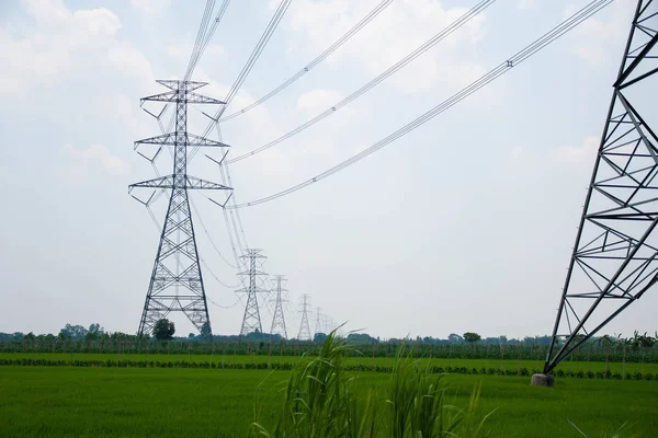 Alanlarda büyük yüksek voltajlı elektrik direkleri, Tayland.