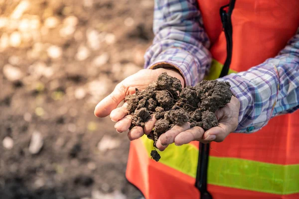 Personel toprağın kalitesini kontrol ediyor. 