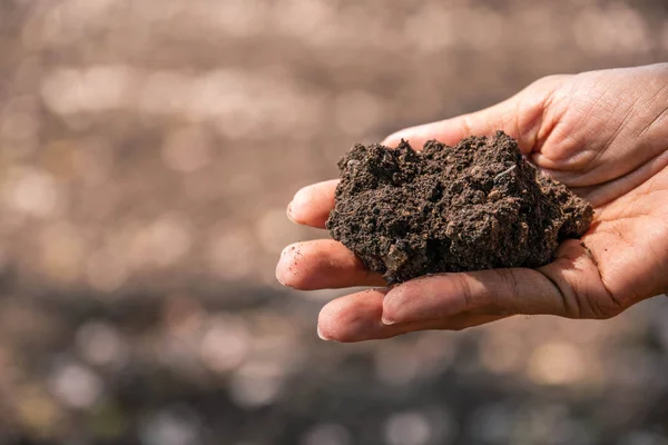 Personel, çiftçinin toprağın kalitesini kontrol ediyor. 
