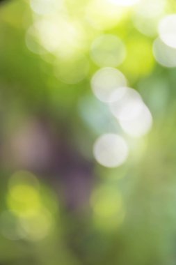 Bokeh Açık ve yeşil yapraklarıelde.