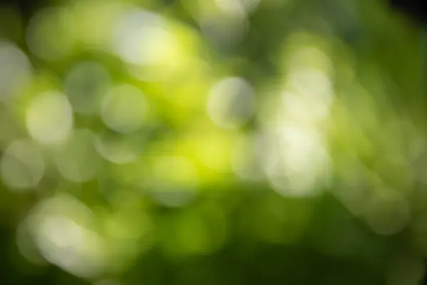 Bokeh Açık ve yeşil yapraklarıelde.