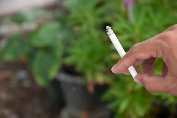 Erkekler parkta sigara içiyor..