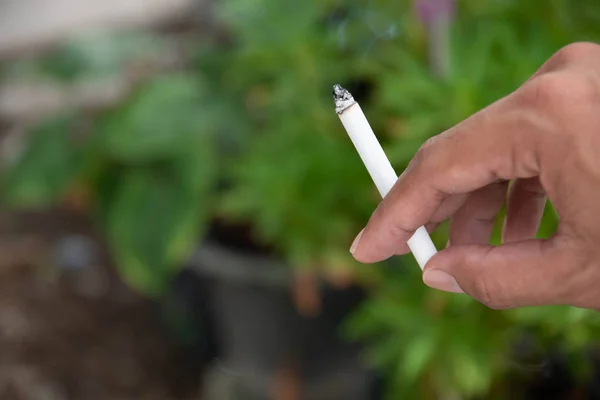 Erkekler parkta sigara içiyor..