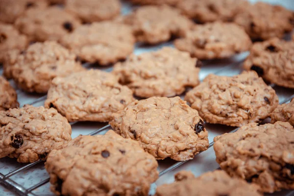 Biscoitos de aveia e passas secas . — Fotografia de Stock