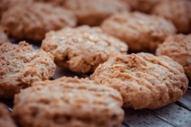 Yulaflı kurabiyeler soğumasını beklemek için ızgaraya koyar..