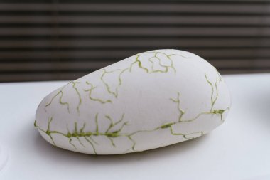 Organların 3d modelleri. 3b yazıcıya yazdırılan hafif