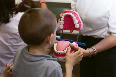 çocuk oyuncak dişleri fırçalamak için öğrenirler. Gerçek implantlar değil, hijyen gelişimi için çene