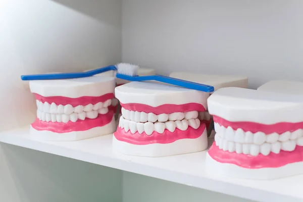 Zęby Zabawek Dla Dzieci Nie Prawdziwe Implanty Szczęki Rozwoju Higieny — Zdjęcie stockowe