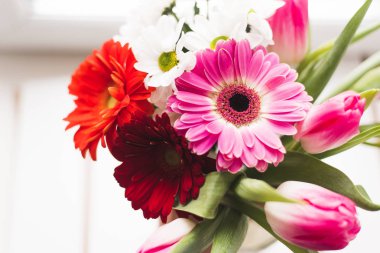 gerberas, lale ve krizantem buketi. Hafif bir arka plan üzerinde bir vazo parlak taze çiçek buketi