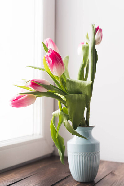 pink tulips in a vase by the bright window on a dark wooden windowsill. spring time