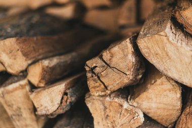 Yığında doğranmış odun. Ahşap yakacak odun günlükleri birbirlerine bindirilmiş.