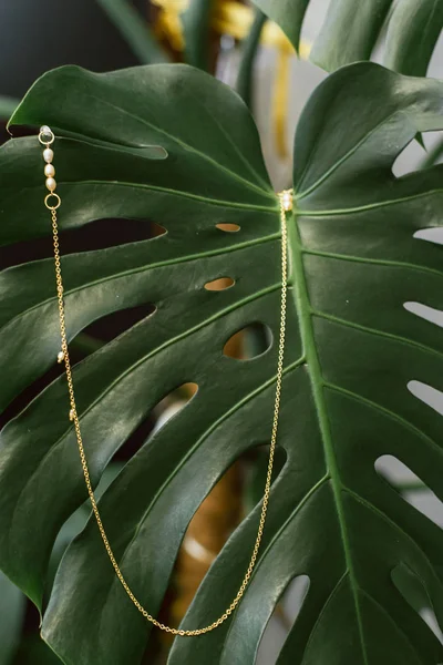 Cadeia de ouro de copos com pérolas penduradas em uma folha de palma. O conceito de jóias femininas. Pingente de ouro em uma planta verde . — Fotografia de Stock