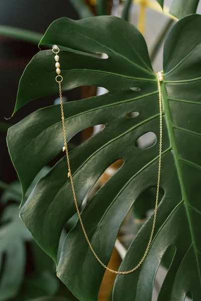 Cadeia de ouro de copos com pérolas penduradas em uma folha de palma. O conceito de jóias femininas. Pingente de ouro em uma planta verde . — Fotografia de Stock