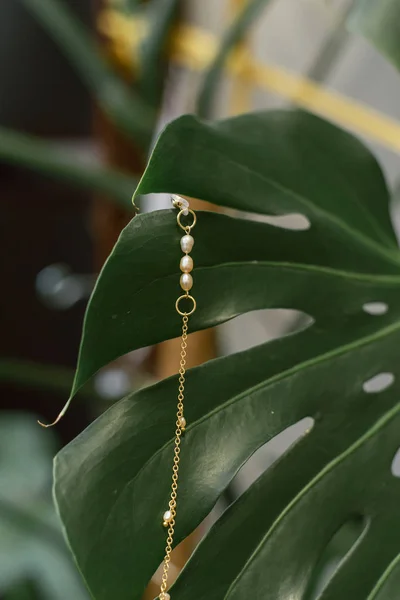 Gold chain for glasses with pearls hanging on a palm leaf. The concept of women\'s jewelry. Gold pendant on a green plant.