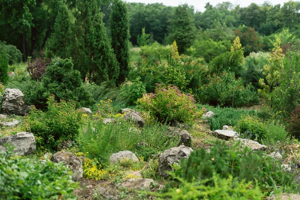 Training students in landscape design in a botanical garden. beautiful plants. — Stock Image Training students in landscape design in a botanical garden. beautiful plants. Stock Photo