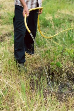bahçıvan bir çiftlikte küçük büyüyen bir ağaç sulama. Bir adam ceviz ağacı yetiştirir. Hortum bahçe sulama