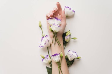 Eustoma 'nın el ve bahar çiçekleri beyaz bir masanın üzerindedir. Cilt bakımı kavramı. El derisi bakımı için doğal kozmetik ürünleri, ellerdeki kırışıklıkları azaltmak için bir araç, nemlendirici. Fazladan doğal çiçek.