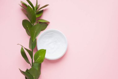 Cilt bakımı, gençleştirme ve yüzün sulanması anlamına geliyor. Patel pembe arka planda yeşil dallı nemlendirici krem. Kişisel bakım ve cilt bakımı felsefesi. Doğal çiçek özü.