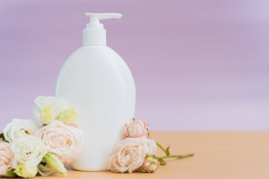 Beyaz tüpler içinde krem ve losyon ve gül çiçekleriyle bej bir arka planda. Cilt bakımı için doğal malzemelerden kozmetik ürünler.