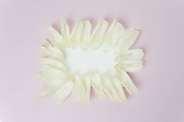 Pembe arka planda şefkat beyazı bir çerçeve. Şefkat dolu beyaz bir çerçeve..