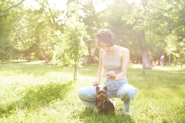 女は公園で犬を訓練する 若い女の子が走り 彼女のヨークシャーテリアと緑の公園で遊んでいます — ストック写真
