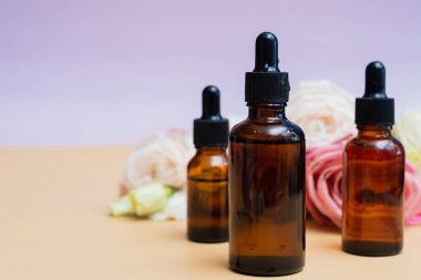 Doğal özlerle ev yapımı kozmetik ürünler üretiyor. Gül yapraklı serum. Deri bakımı konsepti. Doğal organik ev yapımı kozmetik konsepti.