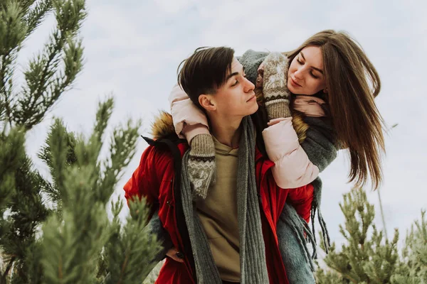 Beau Jeune Couple Est Venu Choisir Arbre Les Jeunes Mariés — Photo