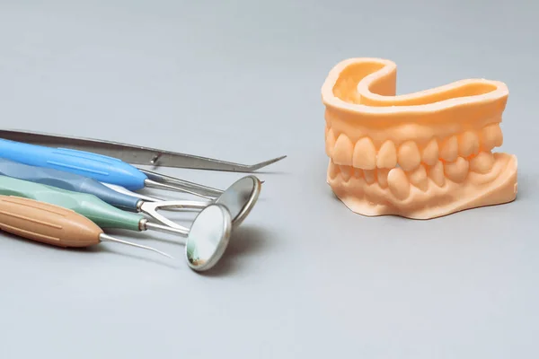 Strumenti Dentisti Mascella Artificiale Sfondo Blu Concetto Cura Dentale Andare — Foto Stock