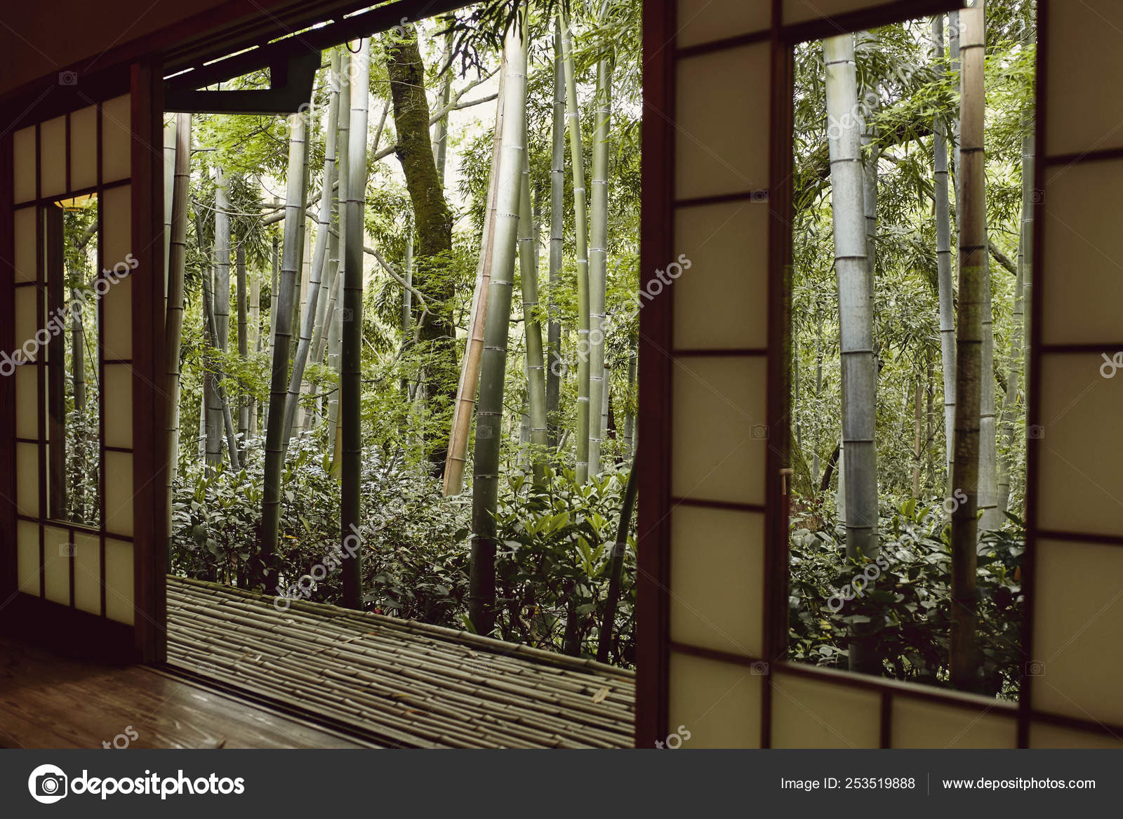 View Japanese Forest Open Doors Windows Old Building Okochi