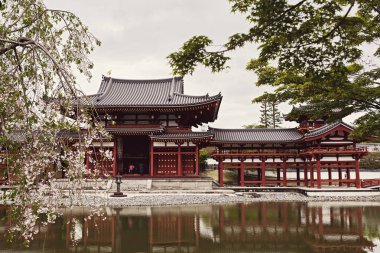 Byodoin Tapınağı bir kiraz çiçeği ağaç ve Kyoto, Japonya Uji kasaba gölette arkasında.  