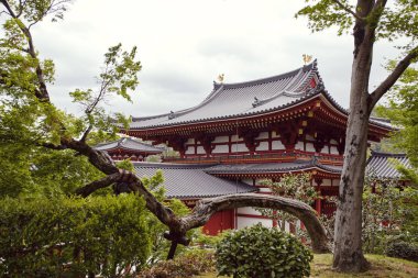 Byodoin Tapınağı bir ağaçların arkasında ve Kyoto, Japonya Uji kasaba bitki örtüsü.  