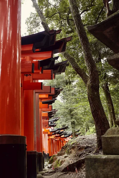 Путешествие Тысячам Тори Восхождение Вершину Горы Святилище Инари Тайша Киото — стоковое фото