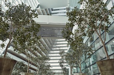 Mimari Detaylar ve Marina Bay Sands, Singapur içinde ağaçlar