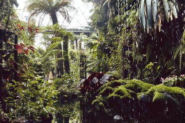 Güzel tropik bahçeler ve bahçeleri tarafından Bay, Singapur, bulut kubbe mimarisinde.  