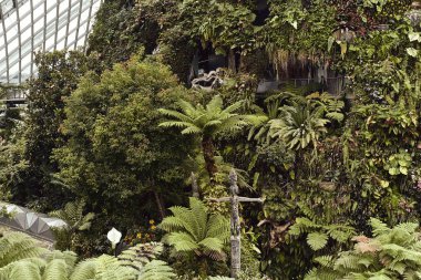 Güzel tropik bahçeler ve bahçeleri tarafından Bay, Singapur, bulut kubbe mimarisinde.  