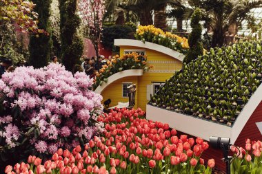 Güzel tropik bahçeler ve bahçeleri tarafından Bay, Singapur, çiçek kubbe mimarisinde.  