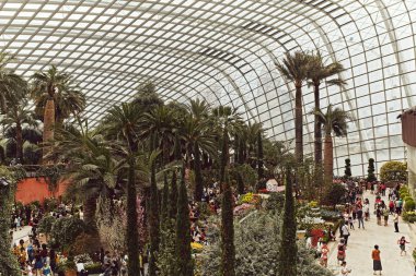 Güzel tropik bahçeler ve bahçeleri tarafından Bay, Singapur, çiçek kubbe mimarisinde.  