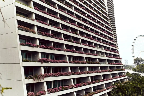 Поруч Видом Балкони Висячими Рожеві Квіти Марина Бей Піски Готель — стокове фото
