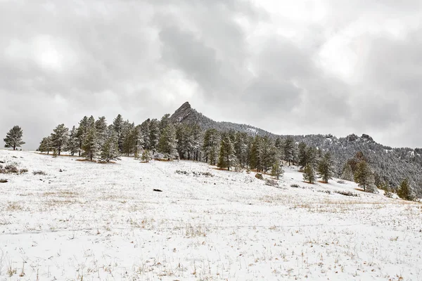 Une Tempête Neige Printanière Couvre Chaîne Montagnes Vallée Les Flatirons — Photo