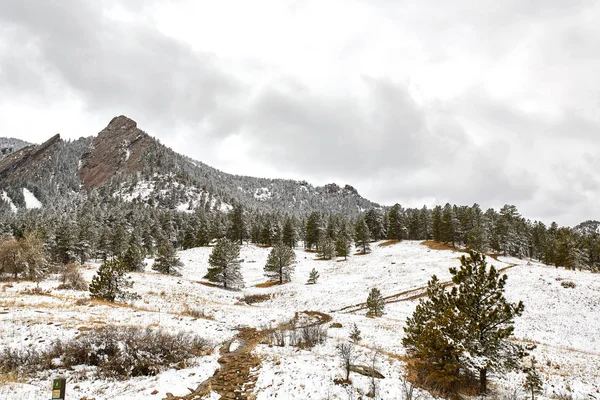 Une Tempête Neige Printanière Couvre Chaîne Montagnes Vallée Les Flatirons — Photo