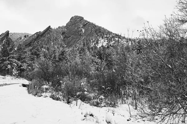 Une Tempête Neige Printanière Couvre Chaîne Montagnes Vallée Les Flatirons — Photo
