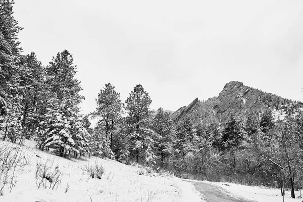 Une Tempête Neige Printanière Couvre Chaîne Montagnes Vallée Les Flatirons — Photo