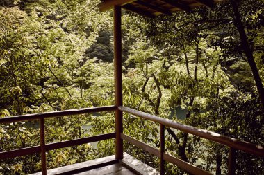 Kyoto, Japonya'da eski bir binanın ahşap balkonundan orman ve akçaağaç ağaçlarının görünümü