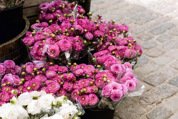 Pink Mama Kwiaty Sprzedaż Rynku Kopenhadze Dania — Zdjęcie stockowe