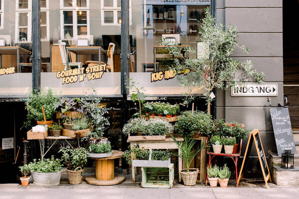 Copenhagen, Denmark - July 20th, 2016:  Group of green plants and fresh herbs in terra-cotta pots and baskets, outside a street side cafe downtown.