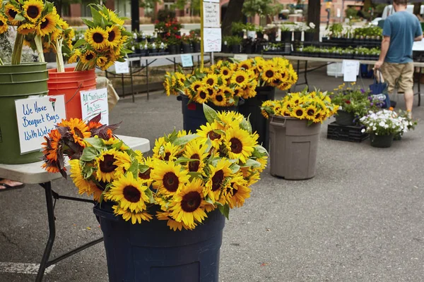 Sträuße Mit Frisch Geschnittenen Sonnenblumen Auf Einem Bauernmarkt Boulder Colorado — Stockfoto