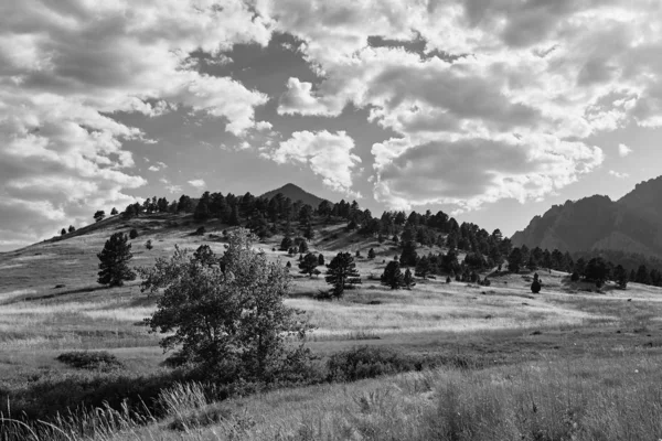 Foothills Rocky Mountains Black White Ncar Trail Head National Center — Photo