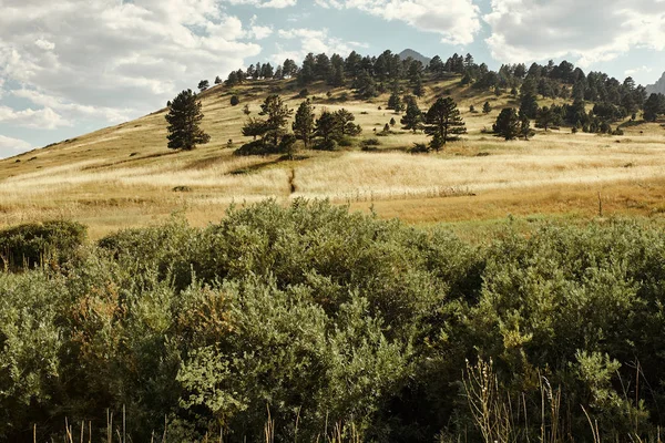 Foothills Rocky Mountains Ncar Trail Head National Center Atmospheric Research — Photo