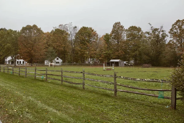 Dorset Vermont Října 2019 Horses Green Pasture Cold Fall Day — Stock fotografie