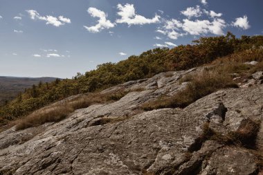 Camden, Maine 'deki Camden Hills Stat Park' taki Battie Dağı 'nın zirvesinde anakayanın üzerinden yürüyorum..